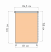 Рулонная штора «Мини» Пастель/Белый (81 х 170)