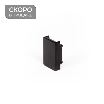 Заглушка торцевая для профиля «Вижн»  (Черный)