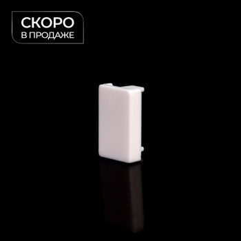 Заглушка торцевая для профиля «Вижн»  (Белый)