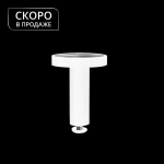 Кронштейн «Потолочный I Лайн/Лион» (БГ)